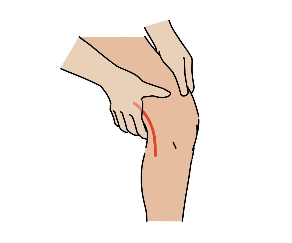 膝裏のイラスト