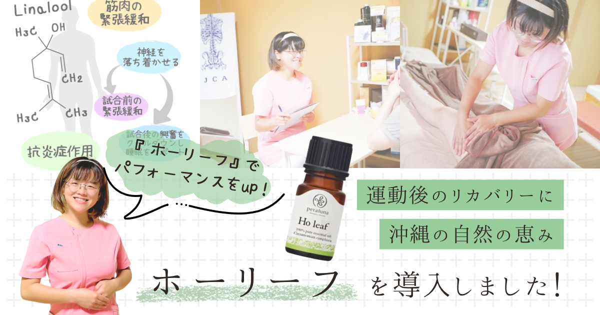 運動後のリカバリーに沖縄の恵みホーリーフを導入しました